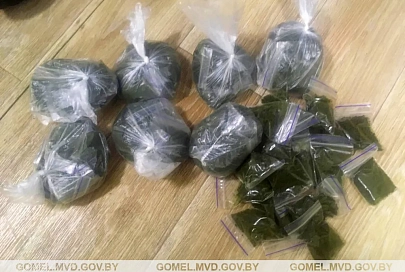 Наркоконтроль задержал гомельчанина, который хранил для продажи почти 2 кг насвая